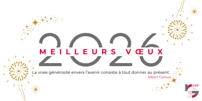 Signature d’e-mail Meilleurs Vœux 2026 Pro Entreprise étoiles Bleu (2)
